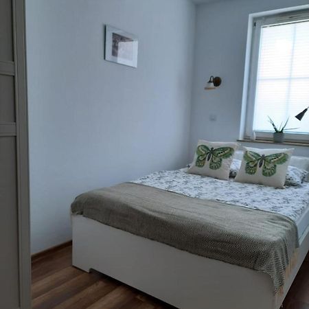 Apartament Felina Świeradów-Zdrój Εξωτερικό φωτογραφία