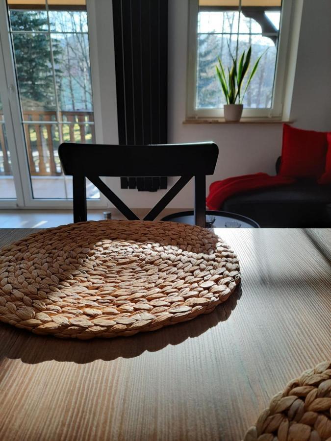 Apartament Felina Świeradów-Zdrój Εξωτερικό φωτογραφία